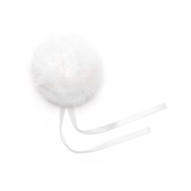 PomPom