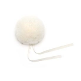 PomPom
