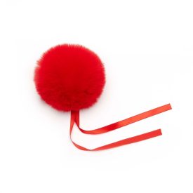PomPom